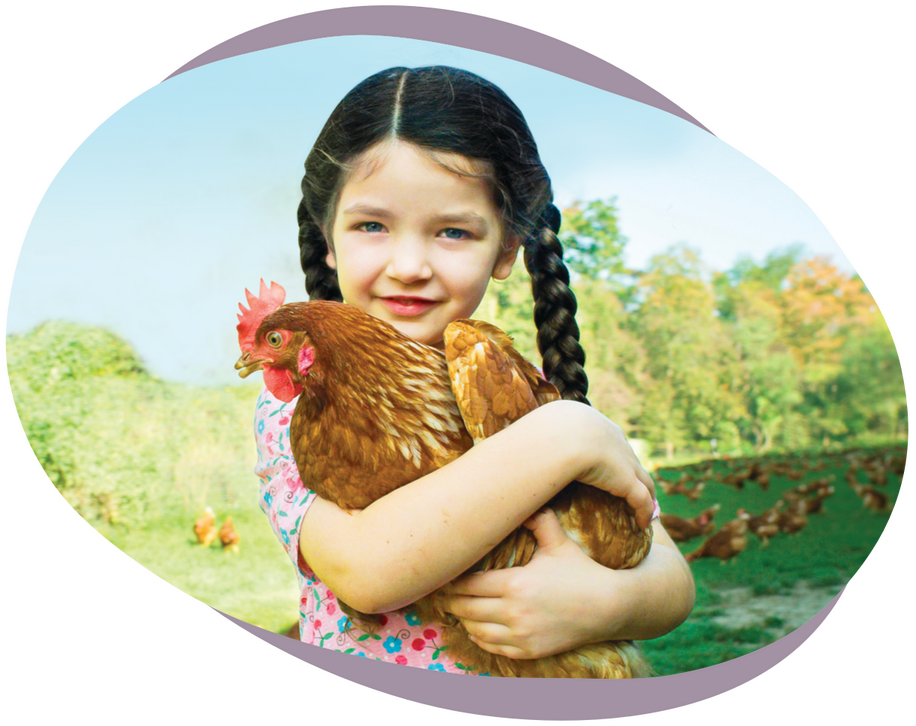 Nellie's Free Range Main Banner