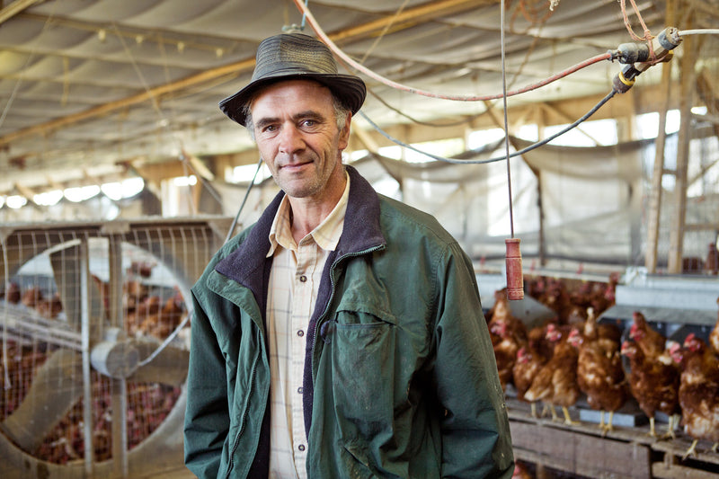 Chickens, Farmers & Partners