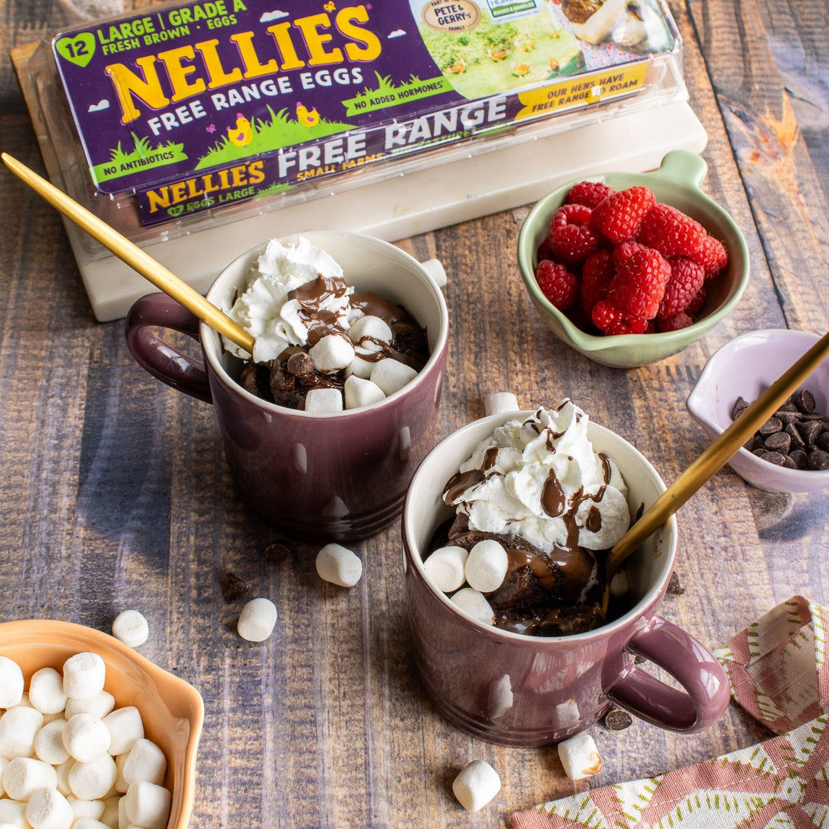 Hot Chocolate Mug Cake