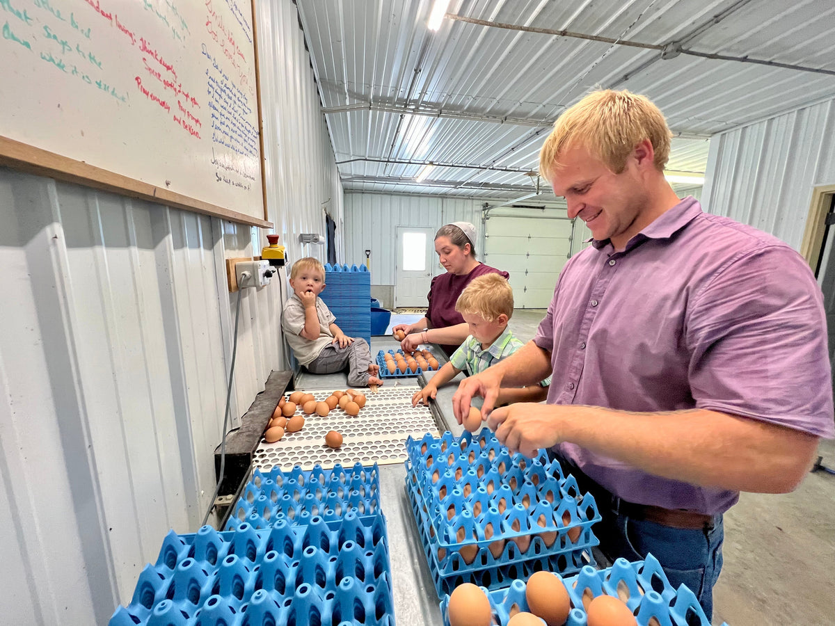How Nellie’s Free Range Practices Sustainable Food Production