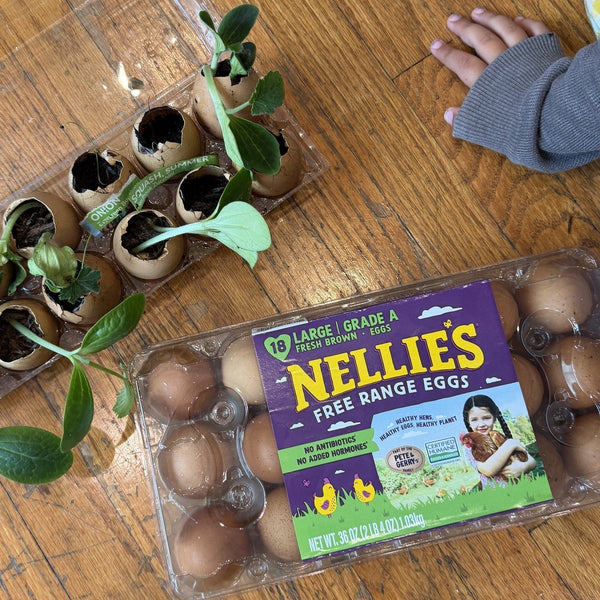 Nellie's Egg Carton Greenhouse