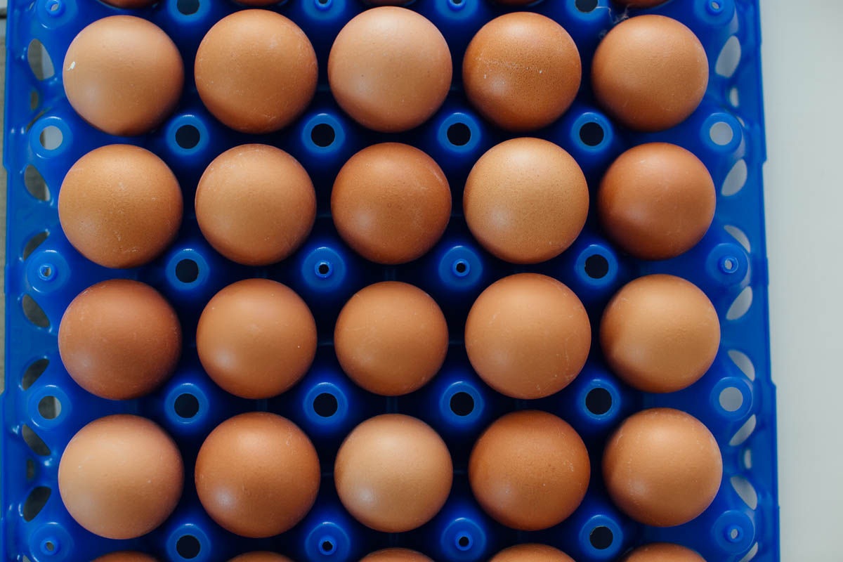 adventure of the egg – from farm to table