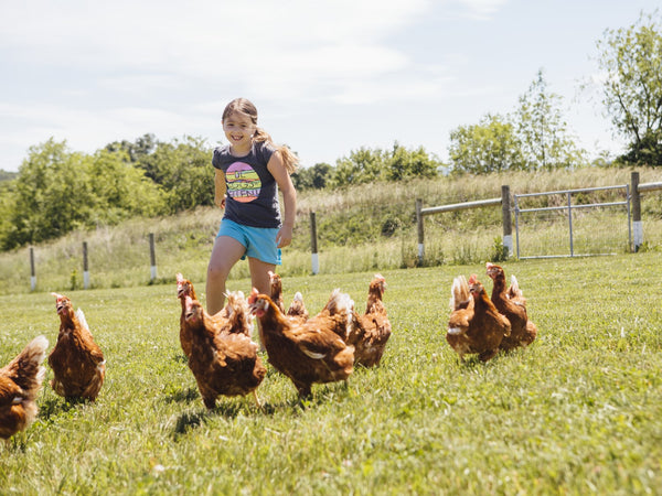 Do Free Range Hens Really Go Outside?