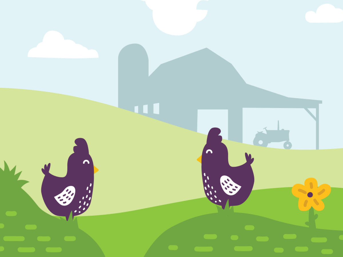 mapping the transition to cage-free eggs state by state