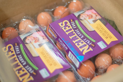 are paper or recycled plastic cartons better for the environment?