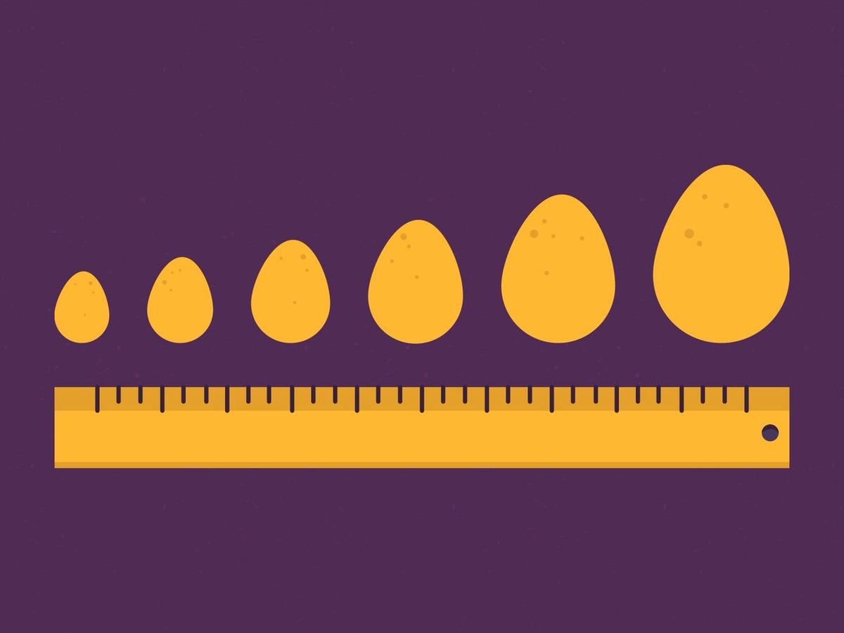 what's the difference between peewee, small, medium, large, extra-large, and jumbo eggs?