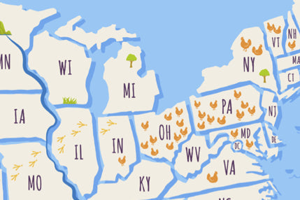 where does nellie live?
