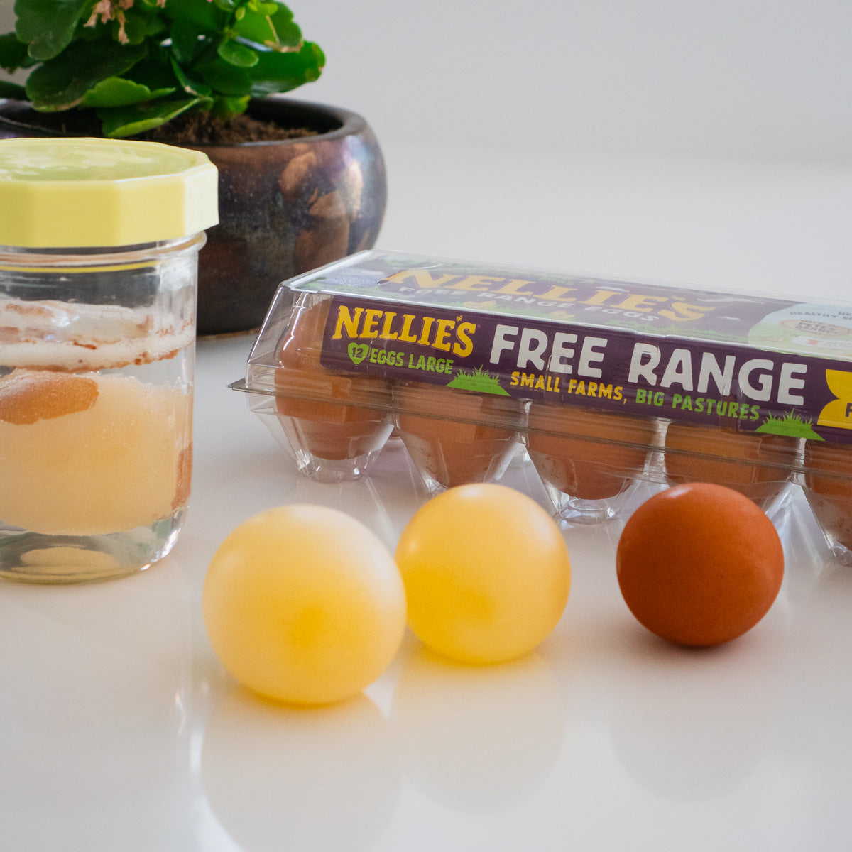 Nellie's Free Range Eggs with dissolved shells from the Naked Egg experiment.