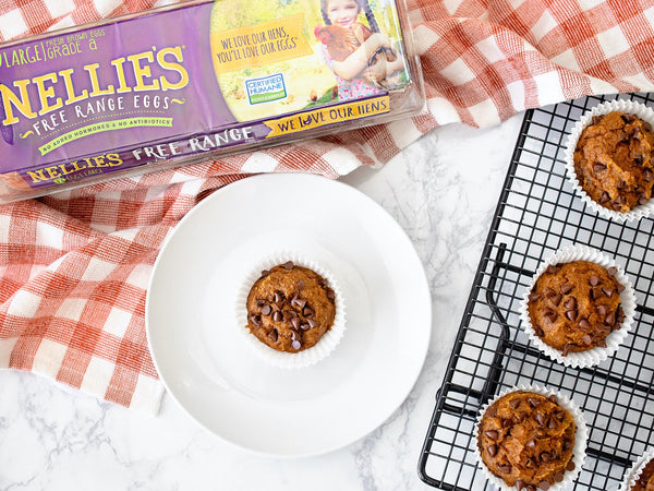 Pumpkin Chocolate Chip Muffins