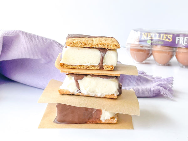 S’mores Ice Cream Sandwiches