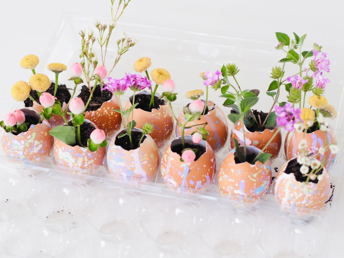 speckled egg planters