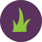 Raised on family farms with big pastures