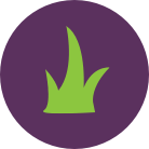 From grass-fed cows raised on American family-run farms